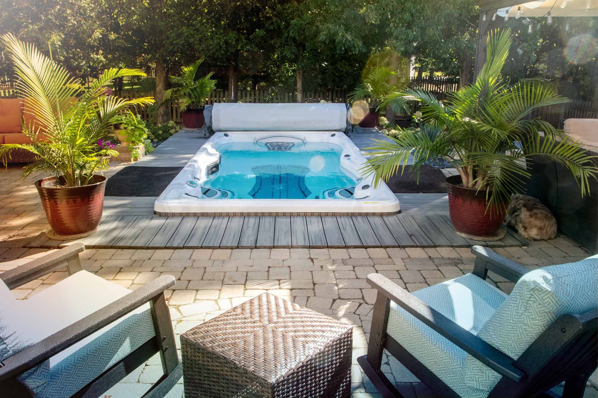 Chattanooga Swim Spas + Hot Tubs